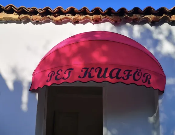 Karpuz Tente Galeri Resmi